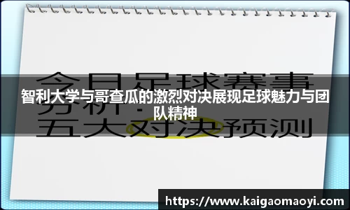 yy易游