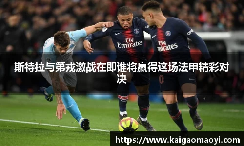 yy体育