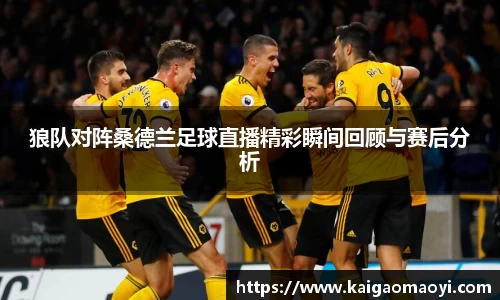 狼队对阵桑德兰足球直播精彩瞬间回顾与赛后分析